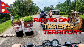 One TIGER ATTACK every 2 weeks in Bardiya National Park, Escort needed to cross - Nepal Motovlog EP2