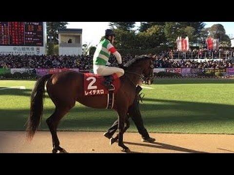 ホープフルS パドック 全体 レイデオロ マイネルスフェーン グローブシアター ベストリゾート サングレーザー コスモス 2016年 G2 競馬 Keiba