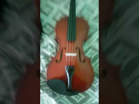 vioara mea 3/4