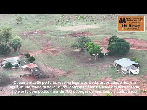 Faz  a venda em 780 ha Ribas do Rio Pardo