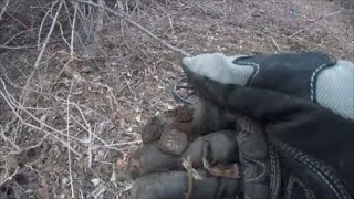 Metal Detecting New Hampshire Man finds 400 year old Spanish Silver