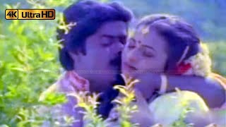 Download lagu பாட்டுக்குள்ளே பாட்டிருக்கு பாடல் | Paatukulle Pattu song | Mano, S. Janaki | Thanga Manasukkaran . mp3 Download lagu பாட்டுக்குள்ளே பாட்டிருக்கு பாடல் | Paatukulle Pattu song | Mano, S. Janaki | Thanga Manasukkaran . mp3