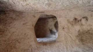 preview picture of video 'Cuevas de los moros Bocairent   La Sària turismo - www.lasaria.com'