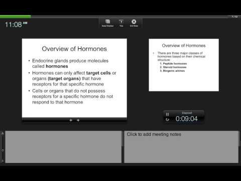 Chapter 20 Endocrine System Part1