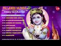 Pallandu Vazhga Part 2 Swami Haridoss Giri Juke Box