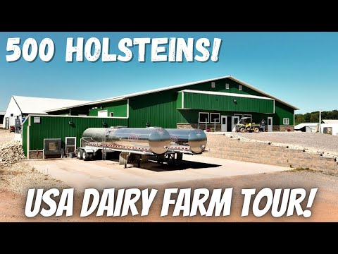 Milking 500 Cows In Wisconsin USA! 🇺🇸
