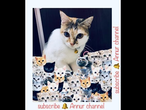 merge snake level 52 🐍