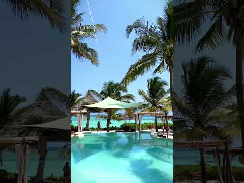 Aya Beach Resort - Zanzibar 🌴 #shorts #short #shortvideo #shortsvideo