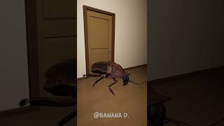 OHIO MRbeast Close x Close Door Vs OHIO Unstoppable Cockroach