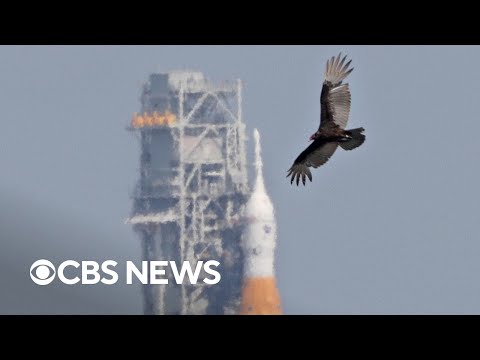 NASA rolls Artemis II back to hangar for repairs