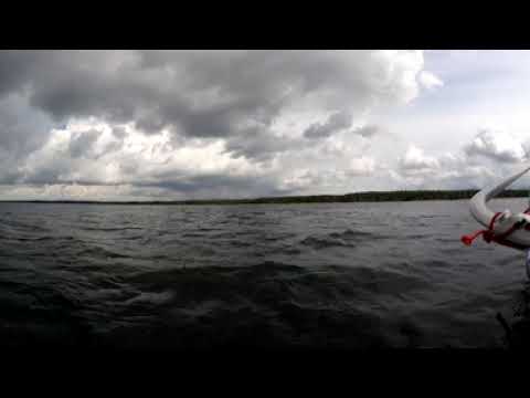 Windsurf Foil Plateliai 360video