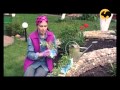 Маленький сад. САД день за днем №2. 