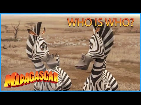 DreamWorks Madagascar | Who is Who? 🦓 |  Madagascar: Escape 2 Africa Movie