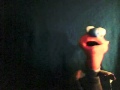 Dodel Drunken Sailor