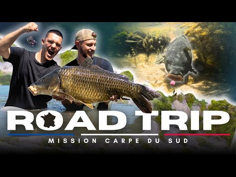 CARPFISHING ROAD TRIP - 9 Days to CATCH the CARPS of the SOUTH of FRANCE