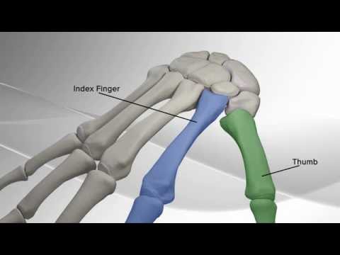 Thumb Metacarpal Arthritis Repair