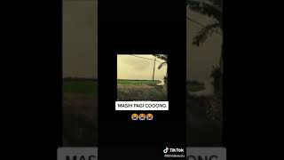 Download lagu masih pagi cong pocong mp3