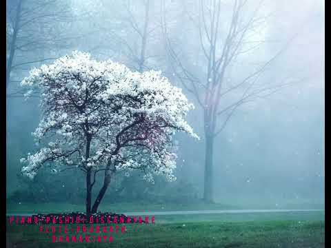 [I'm your althinai]_ Piano - Pashidi Dissanayake / Flute - Prabhath Dhananjaya