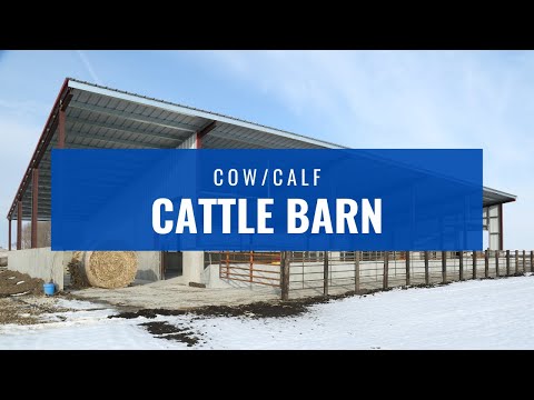 Cow/Calf Cattle Barn