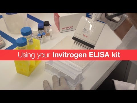 Using your Invitrogen ELISA kit
