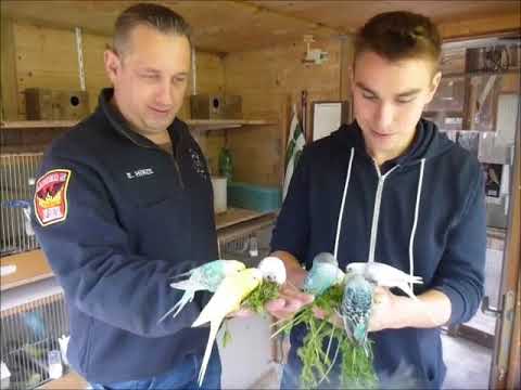 2017 08 12 Jan H. aus Seelze