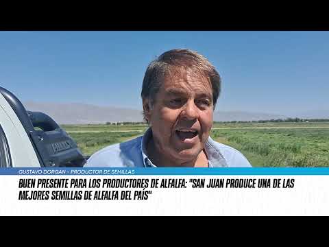 De Jáchal al mundo: la alfalfa sanjuanina que conquistó a los países árabes