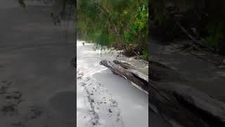 preview picture of video 'Tempat Wisata Pulau Tikus(Bangkep('
