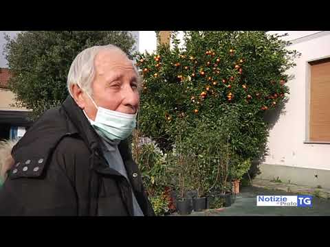 2021-01-14 PRATO - IMBAVAGLIATA E MINACCIATA CON COLTELLO IN CASA