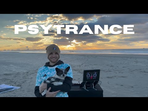Chihuahua Sunset PsyTrance Chill Mix 2024 || Neelix, Phaxe, Fabio Fusco, Ranji, Ghost Rider, Durs