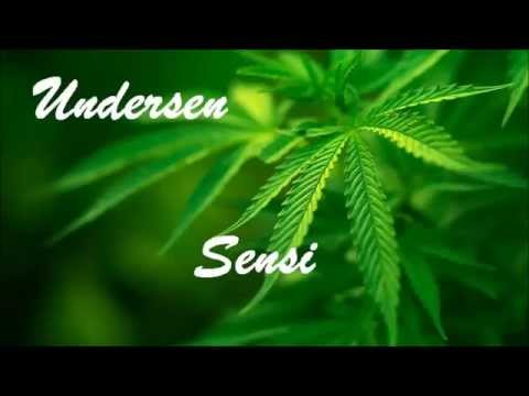 Undersen - Sensi (prod. LionRiddims)