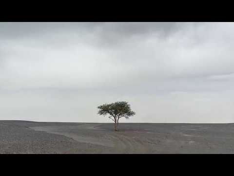 "Drzwi do siebie" medytacja prowadzona - Arthur Klisiewicz [LEKTOR PL]