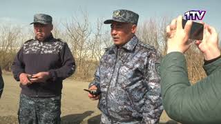 Видео