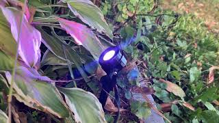 What to Know! VTimes Smart RGBW Spot Lights