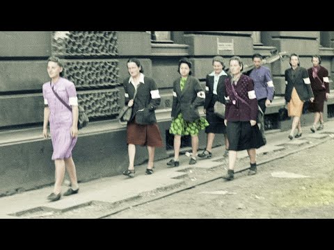 Organek - Idziemy w miasto feat. Klaudia Szafrańska (Official single)