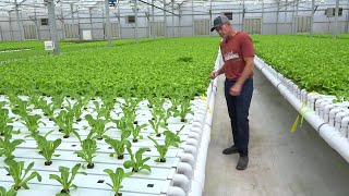 Download the video "A Growing Passion | Inside "The Villages Grown" Hydroponic Farm"