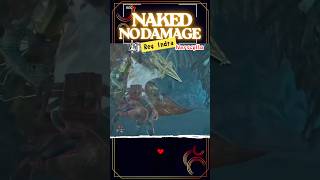 【全クリへの道】ランス裸ノーダメージ編