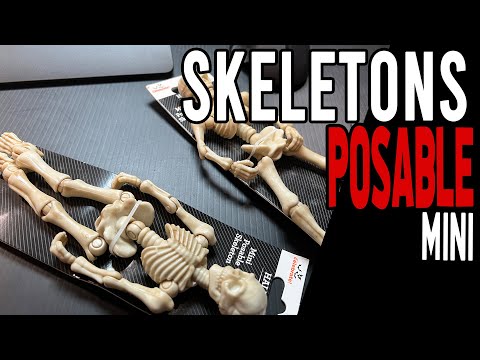 Walmart's Mini Posable Skeletons for $4.  NICE.