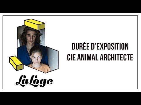 Durée d’exposition Compagnie Animal Architecte