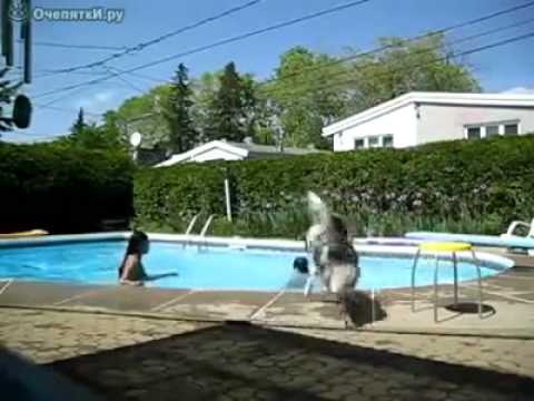 EPO SHQIPTARI E KA TRADIT TA PUTH TOKEN