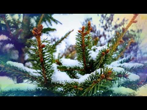 Пролет Лето Есен Зима