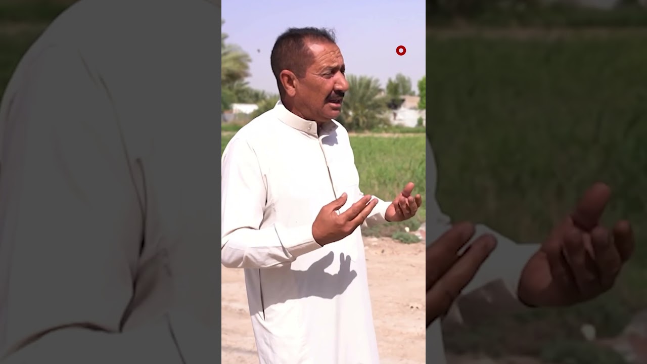 فيديو | شكاوى من تجريف أراض جنوب غربي بغداد