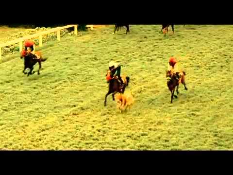 Bpcl - mak lubricants