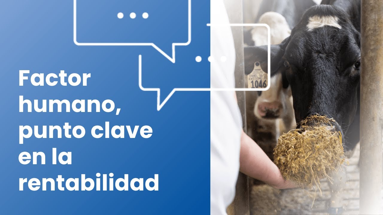 Factor humano, punto clave en la rentabilidad