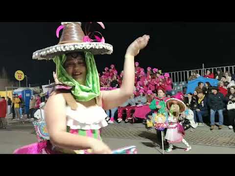 Escola de Samba Juventude Vareira -  Carnaval Ovar 2025