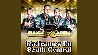 Radicamos en South Central Radicamos en South Central