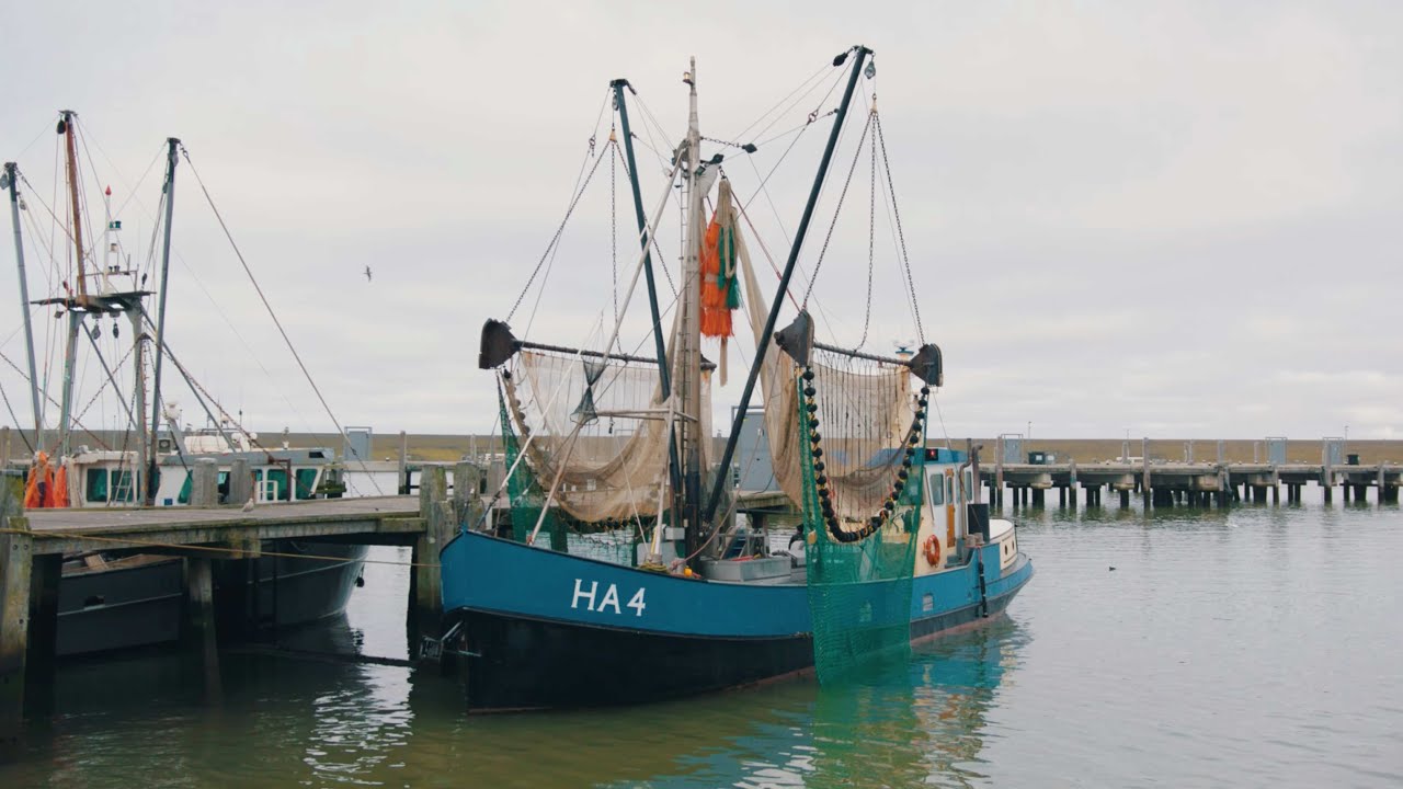 Maak kennis met Expeditie Harlingen!