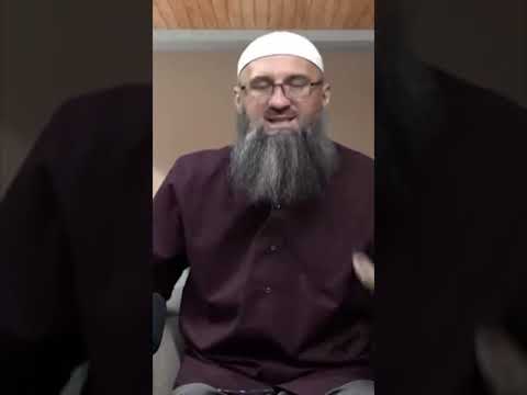 Kazna zbog mokraće - mr. Elvedin Pezić 📚