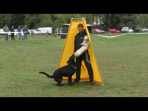 MM MSKS Zbraslav 2019 - Václav Jemelík - Peggy Galán Nalag - obrana/defense