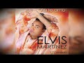 Elvis%20Mart%C3%ADnez%20-%20El%20Profesor