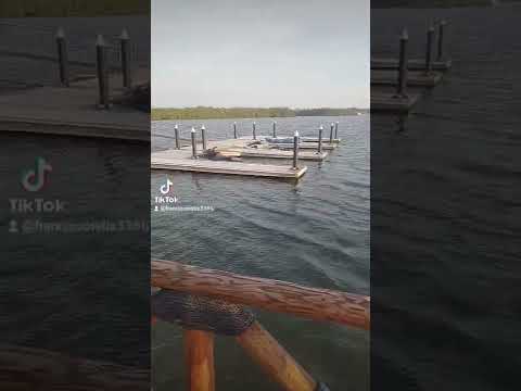 Videos del Gran Altata 5★ en Altata, MéxicoVer MásVerPrecios10CerrarConsulta por Whatsapp 🇦🇷BookingTripadvisorExpediaTravelocityTripSkyscannerDespegarHotelesBestdayTrivago